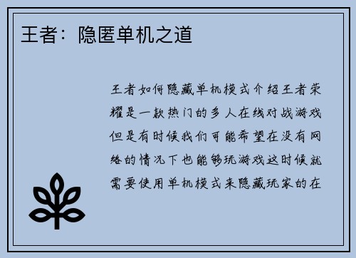 王者：隐匿单机之道