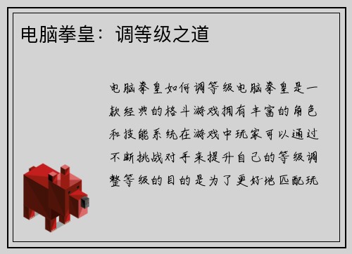 电脑拳皇：调等级之道